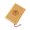 Quran Icon